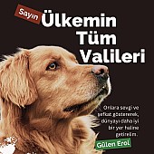 Hayvan Severler Ayakta: Türkiye'de Yeni Yasa Tasarısı Üzerine Tepkiler Büyüyor