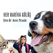 Her Harika Gülüş Derin Bir Acının Mirasıdır