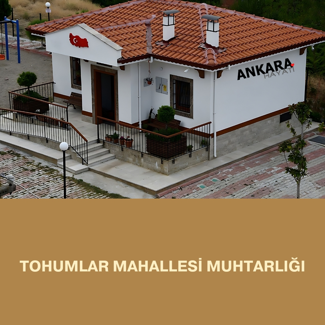 Tohumlar Mahallesi Muhtarlığı